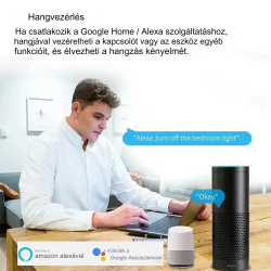 16A EWelink/Tuya Wifi Mini Smart 2-utas kapcsoló modul, Alexa Google Home támogatás